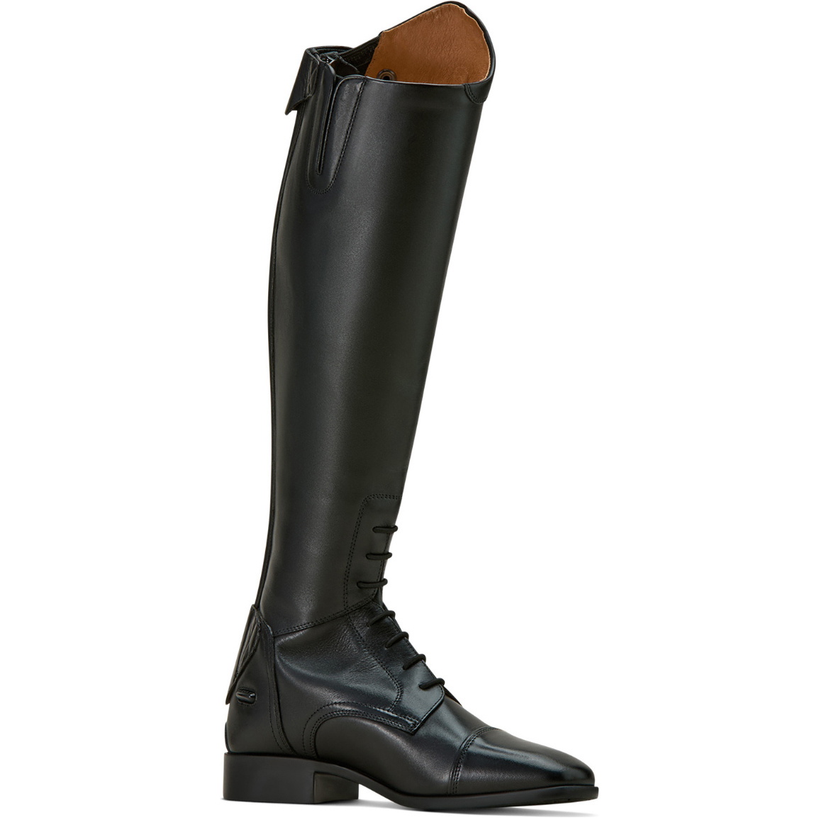 2025 Ariat Womens Palisade Field Long Riding Boot 10061256 - Black
